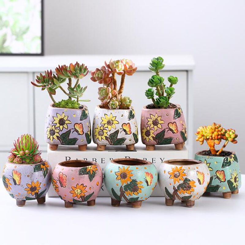 Echeveria Succulent - Корейский стиль, подсолнух, горшок для суккулентов,