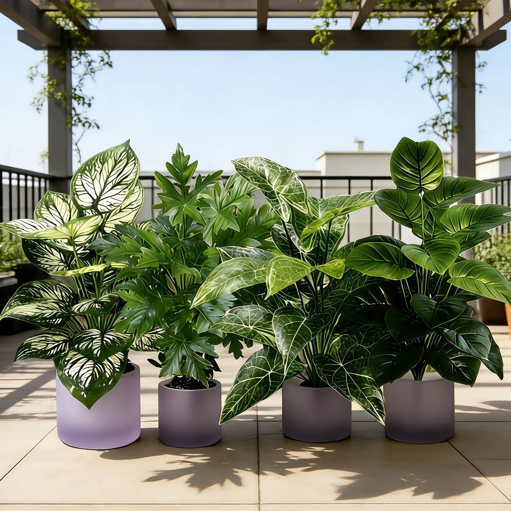 Dracaena Marginata - Набор из 4 искусственных растений: 48