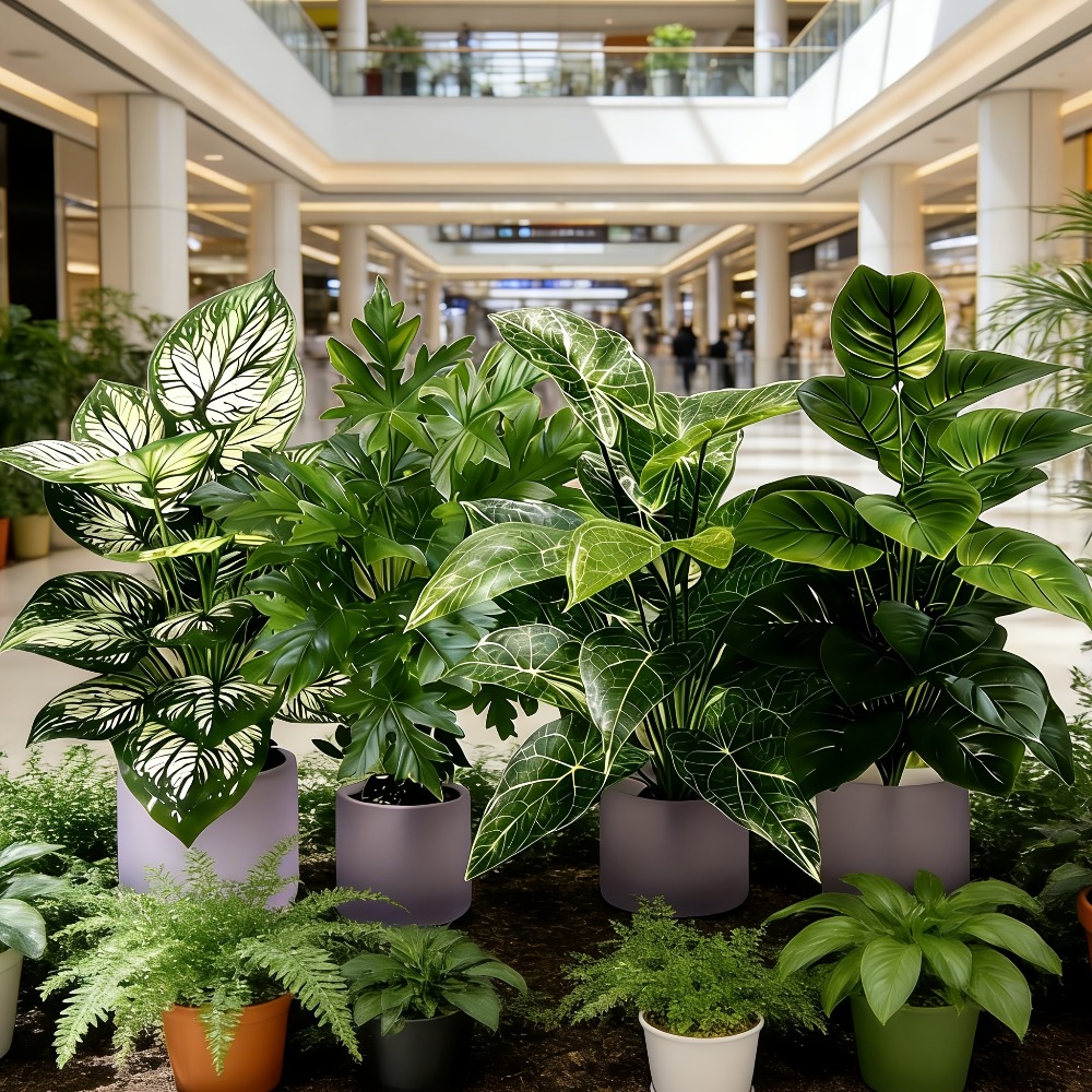 Набор из 4 искусственных расте – обзор и цена Dracaena Marginata