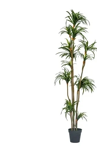 Искусственное растение Драцена – обзор и цена Dracaena Marginata