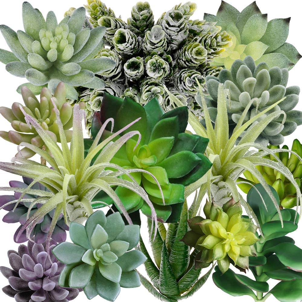 Набор из 15 искусственных сукк – обзор и цена Echeveria Succulent