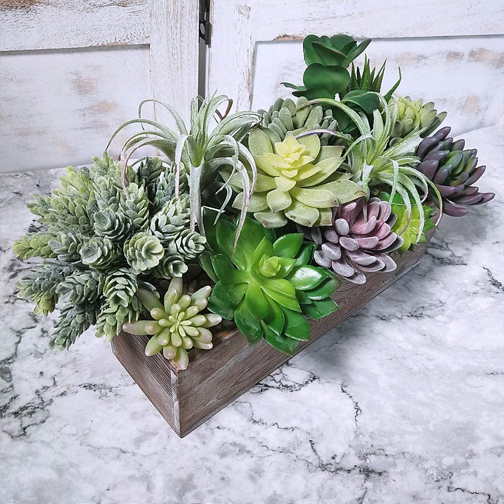 Набор из 15 искусственных сукк – обзор и цена Echeveria Succulent