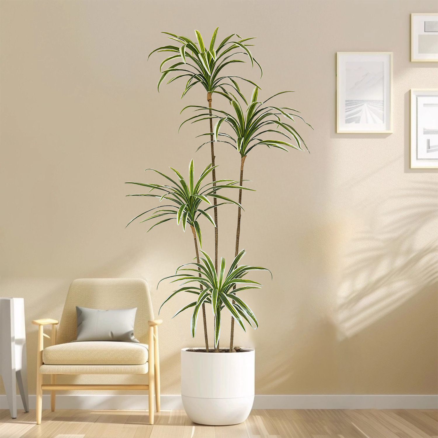 Искусственное растение Драцена – обзор и цена Dracaena Marginata