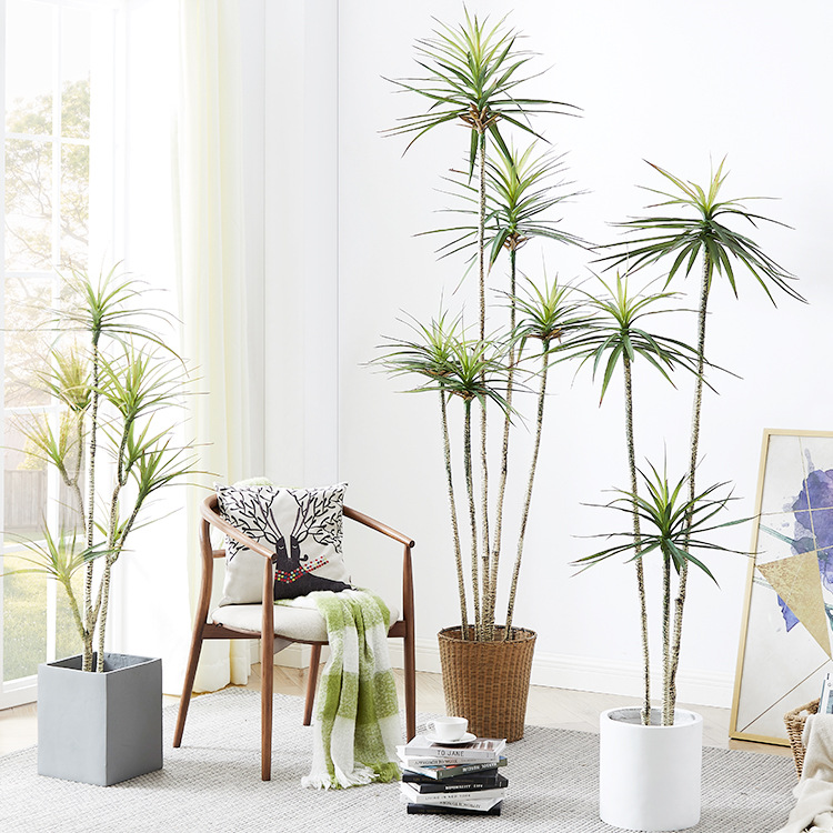 Искусственный пластик в горшке – обзор и цена Dracaena Marginata