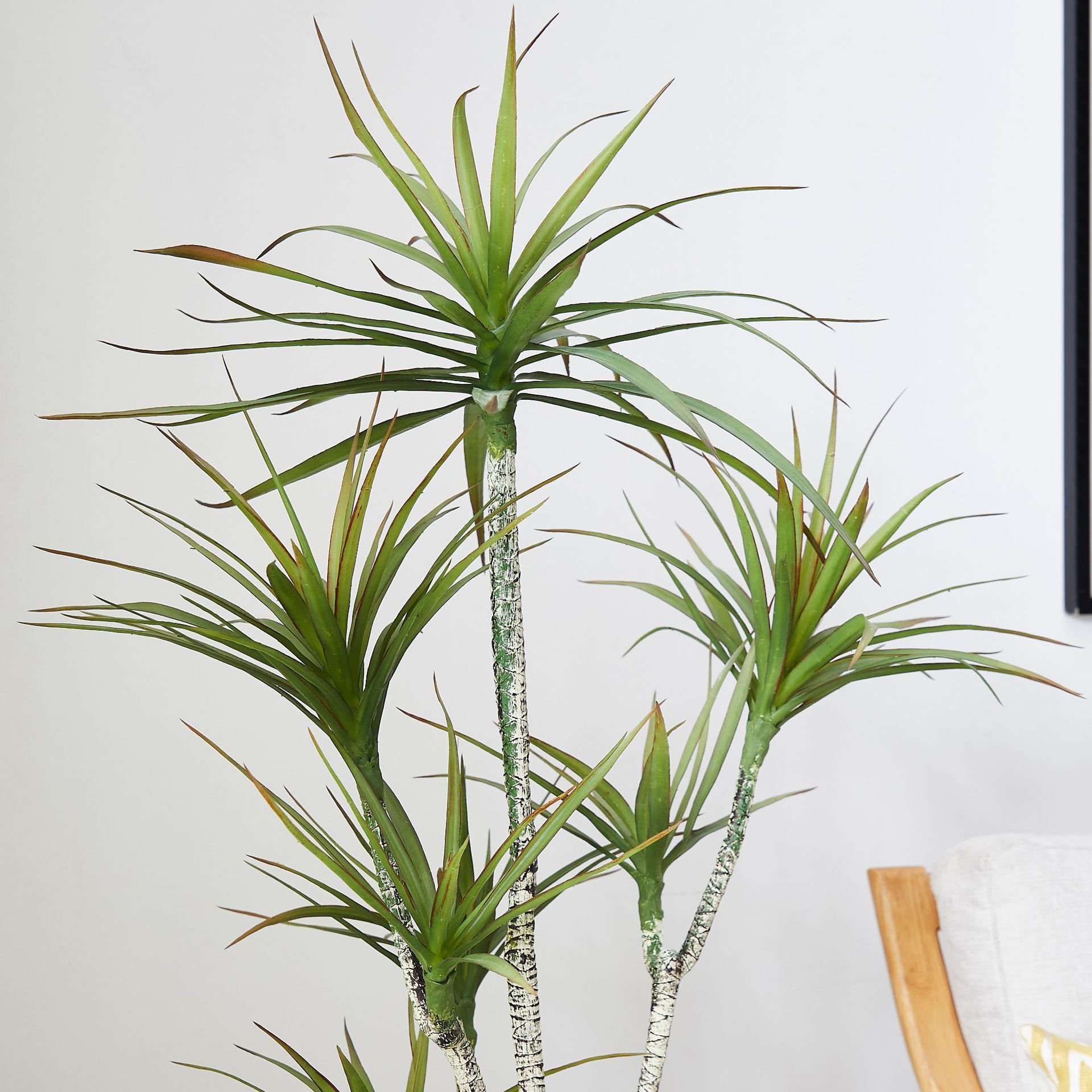 Искусственный пластик в горшке – обзор и цена Dracaena Marginata